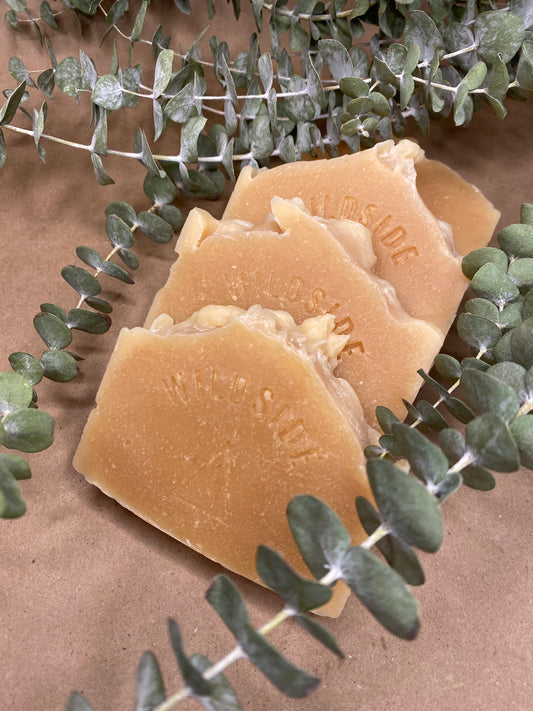 Lemon & Eucalyptus - Goat Milk Soap