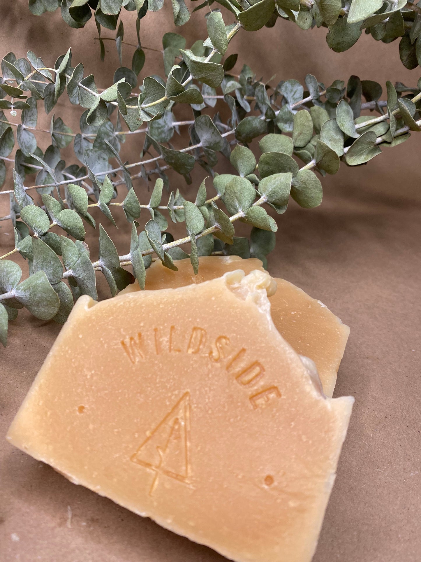 Lemon & Eucalyptus - Goat Milk Soap