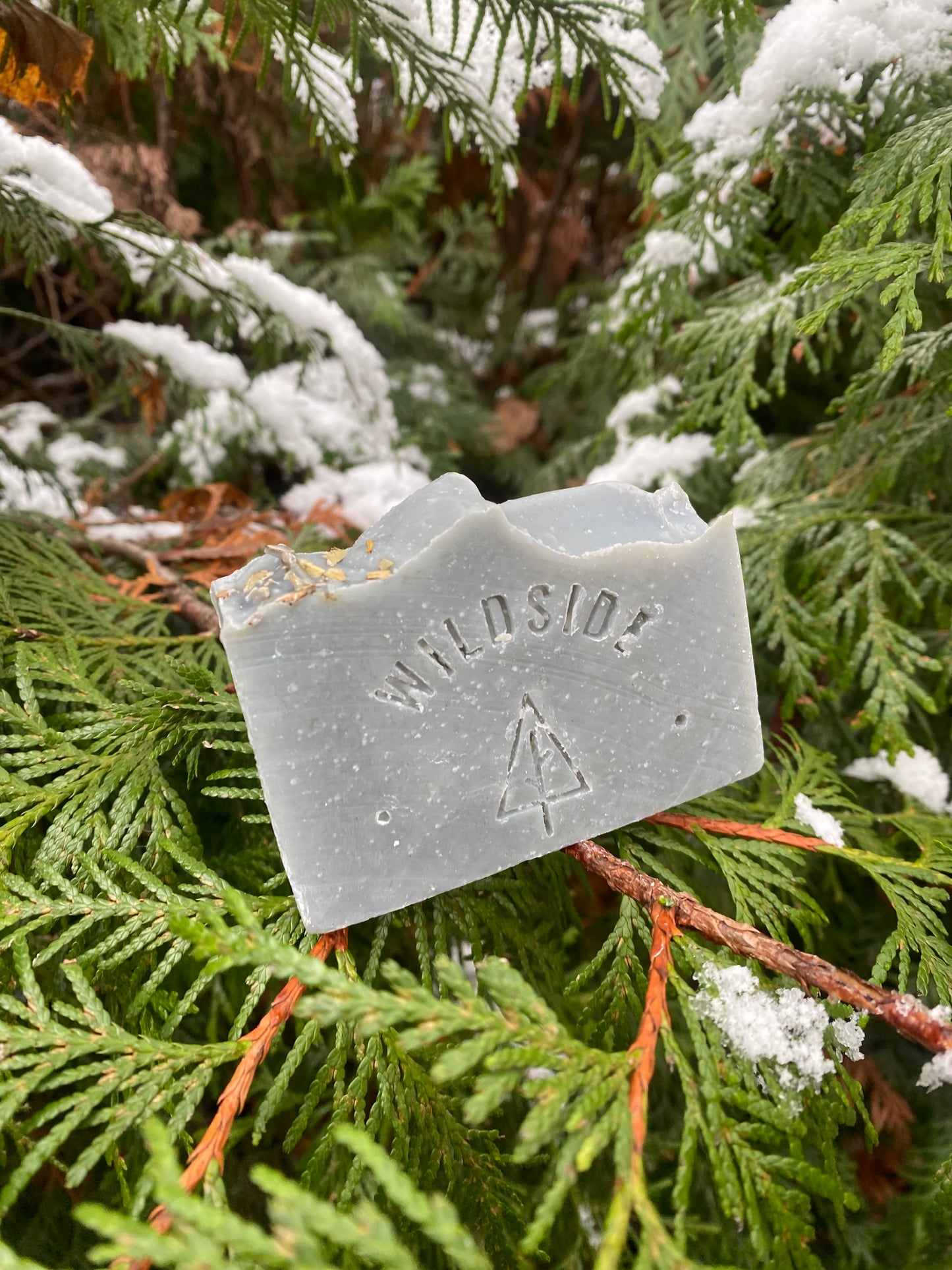 Eucalyptus Forest - Hemp butter soap